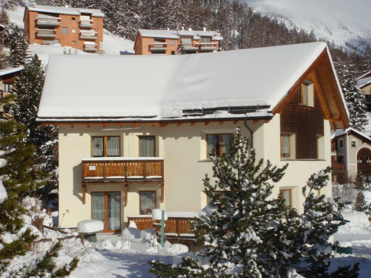 Ferienwohnung Crusch 32 Samedan Exterior foto